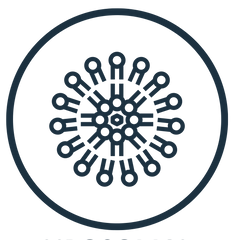 Liposomal protection