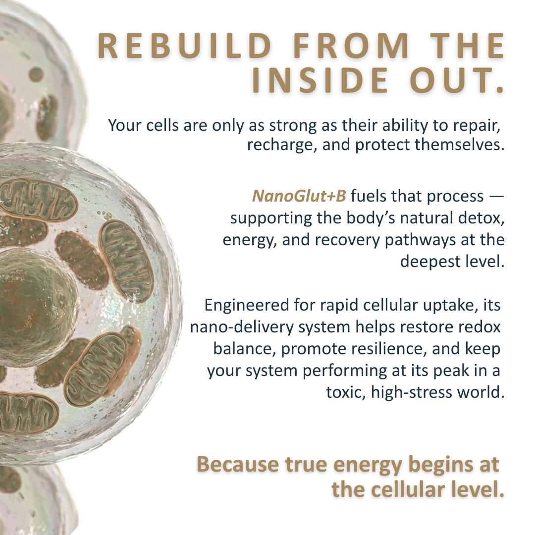 Nano Liposomal Glutathione + Methylated B Complex Aegis Formulas Nano Liposomal Glutathione + Methylated B Complex Aegis Formulas